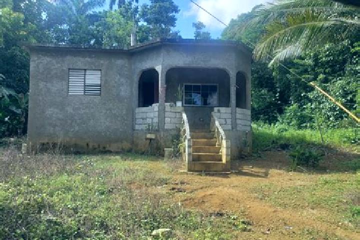 Escorts Moneague, Jamaica — Local Companions
