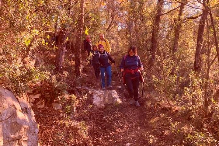 Escorts Mont-ral, Spain — Local Companions