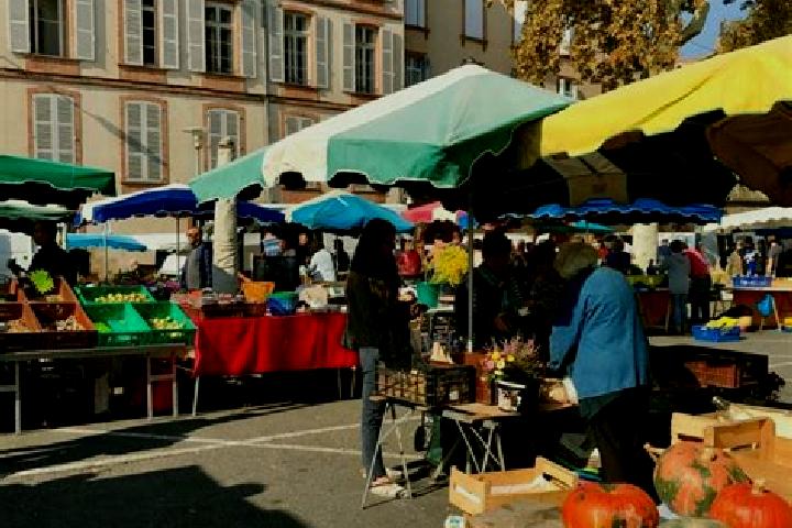 Escorts Montauban, France — Local Companions