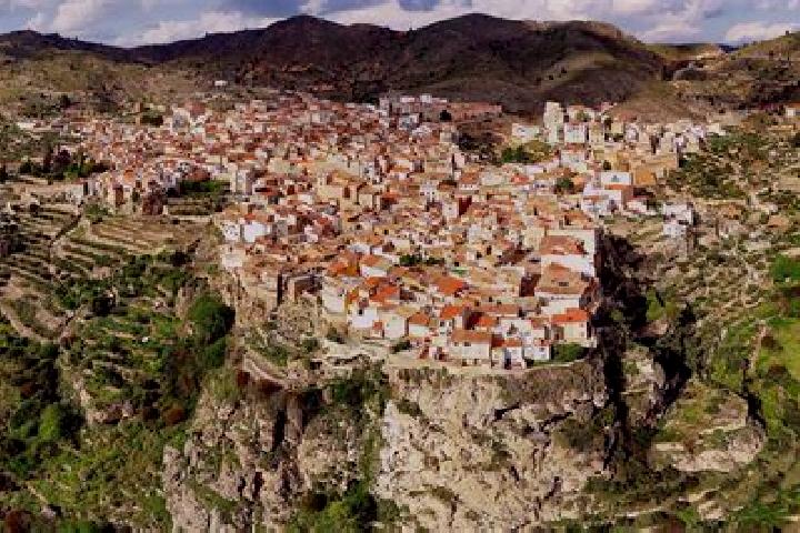 Escorts Montealegre del Castillo, Spain — Local Companions