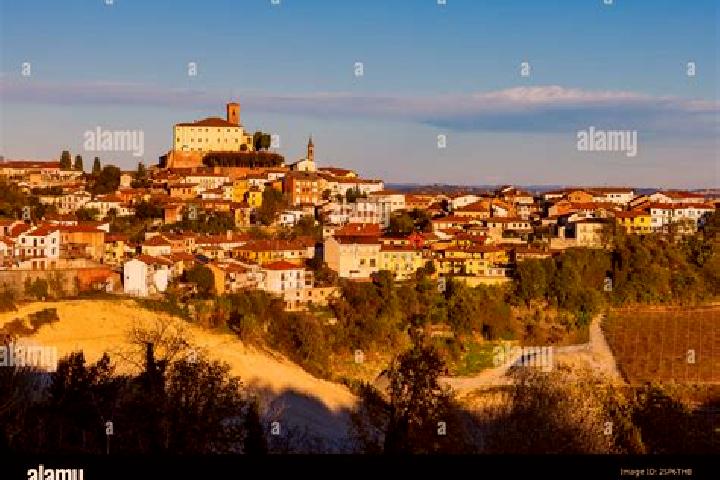 Escorts Montechiaro d Asti, Italy — Local Companions