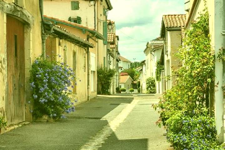 Escorts Montfort-en-Chalosse, France — Local Companions