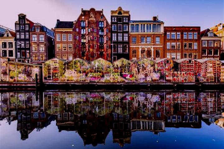 Escorts Montfort, Netherlands — Local Companions