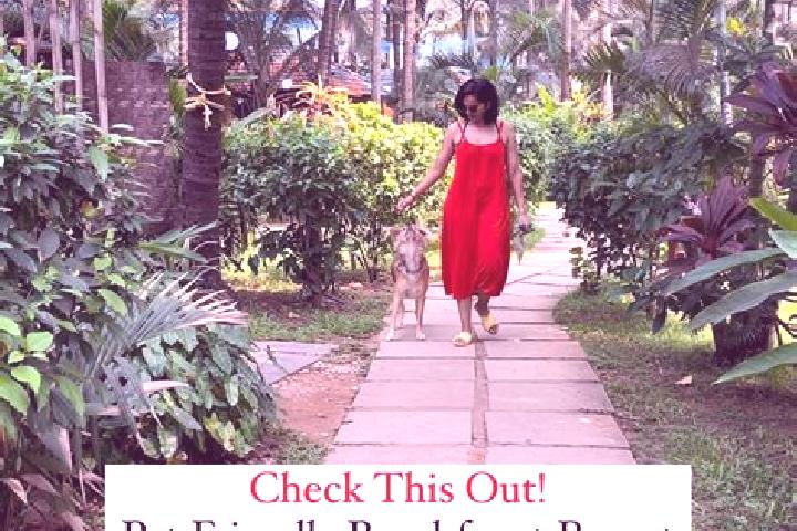Escorts Morjim, India — Local Companions