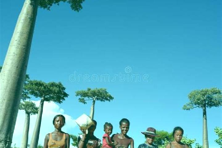 Escorts Morondava, Madagascar — Local Companions