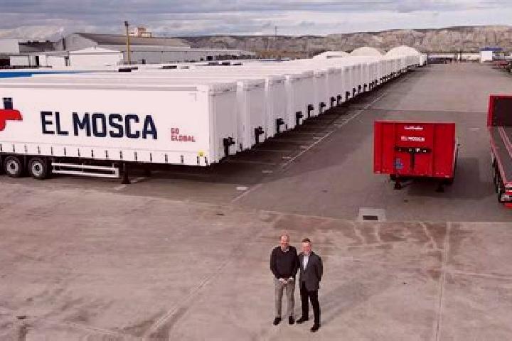 Escorts Mosca, Peru — Local Companions