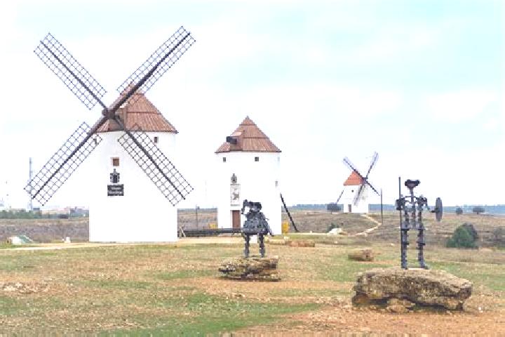 Escorts Mota del Cuervo, Spain — Local Companions