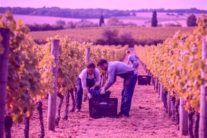 Escorts Moulis-en-Medoc, France — Local Companions