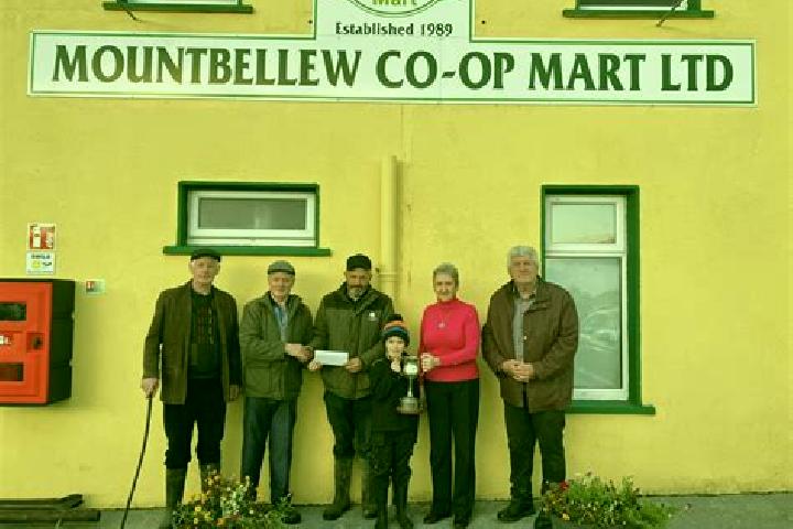 Escorts Mountbellew, Ireland — Local Companions