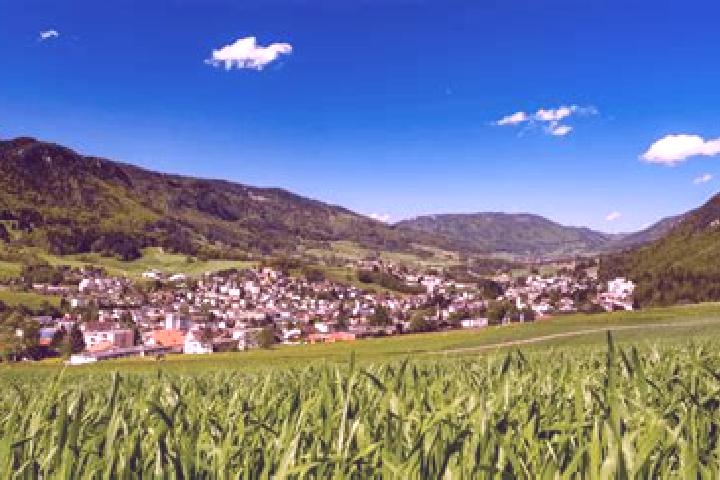 Escorts Moutier, Switzerland — Local Companions