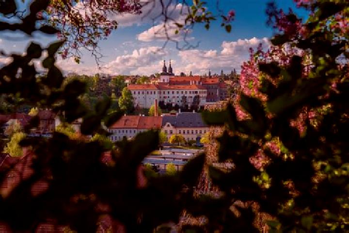 Escorts Mrakotin, Czech Republic — Local Companions