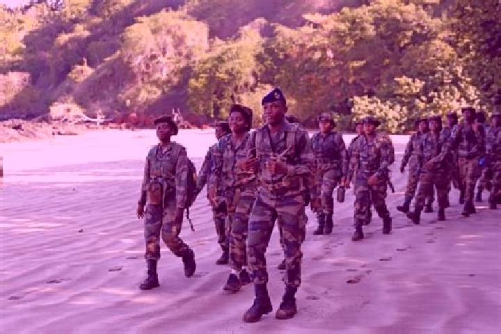 Escorts Mtsangamboua, Mayotte — Local Companions