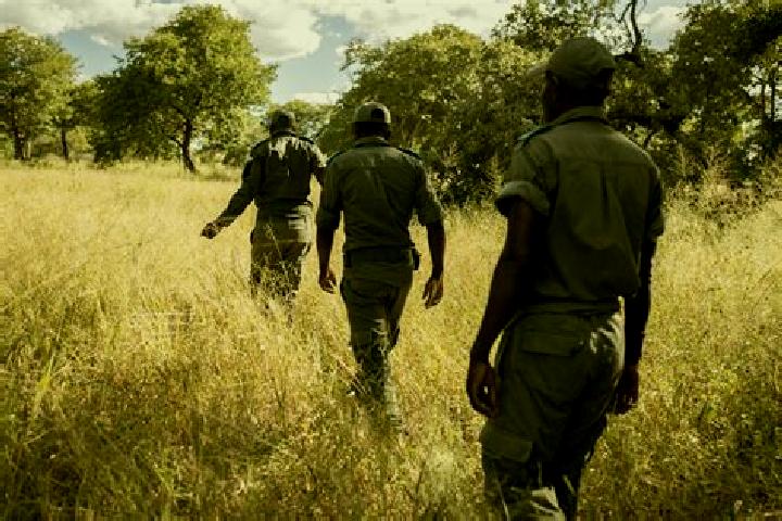 Escorts Mucusso, Angola — Local Companions