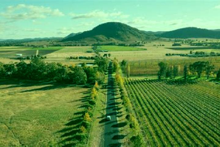 Escorts Mudgee, Australia — Local Companions