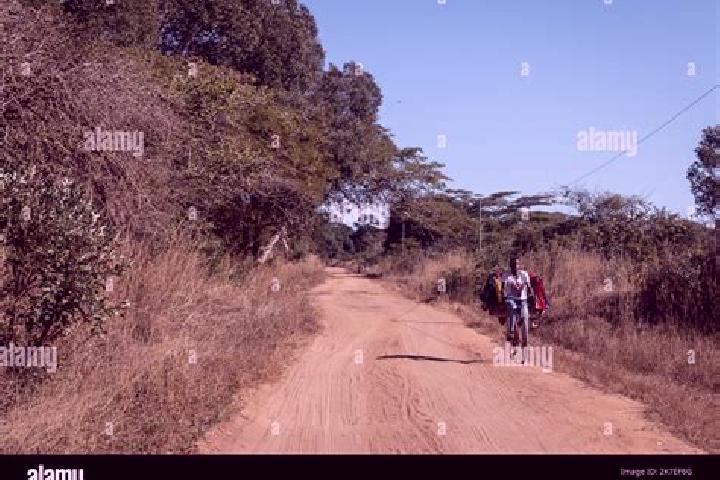 Escorts Mueda, Mozambique — Local Companions