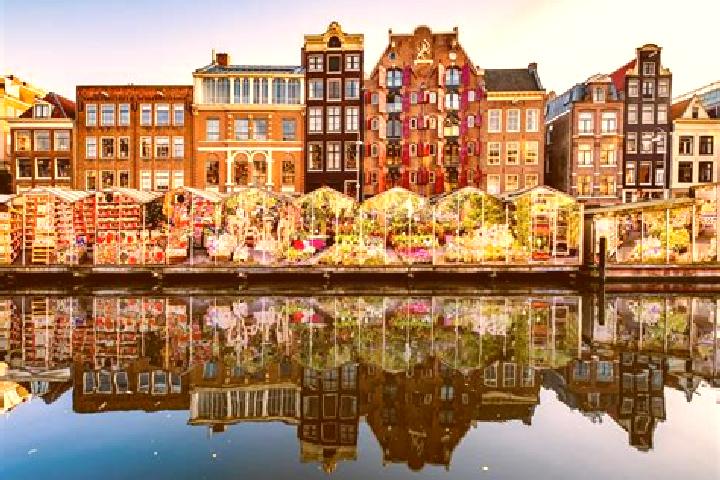 Escorts Muiderberg, Netherlands — Local Companions