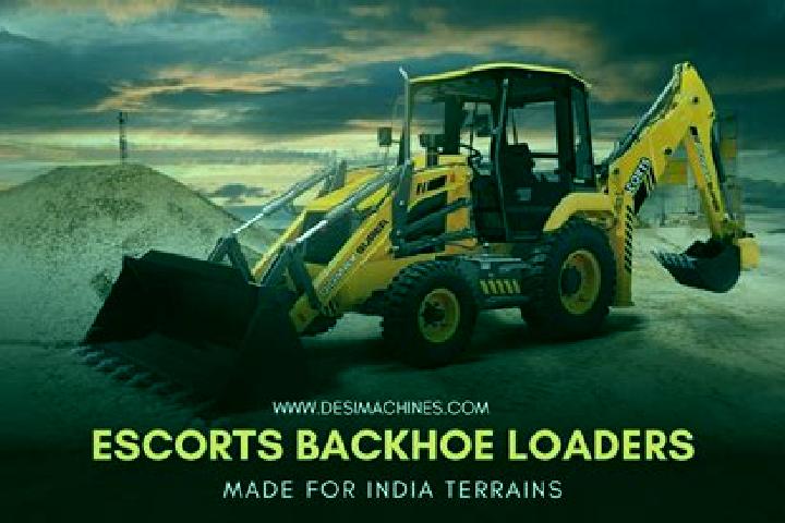 Escorts Mullanwala, India — Local Companions