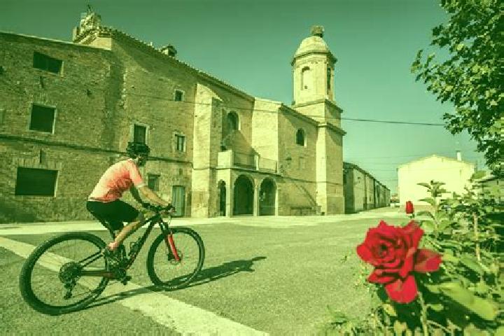 Escorts Murillo el Cuende, Spain — Local Companions