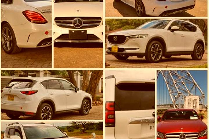 Escorts Musina, South Africa — Local Companions