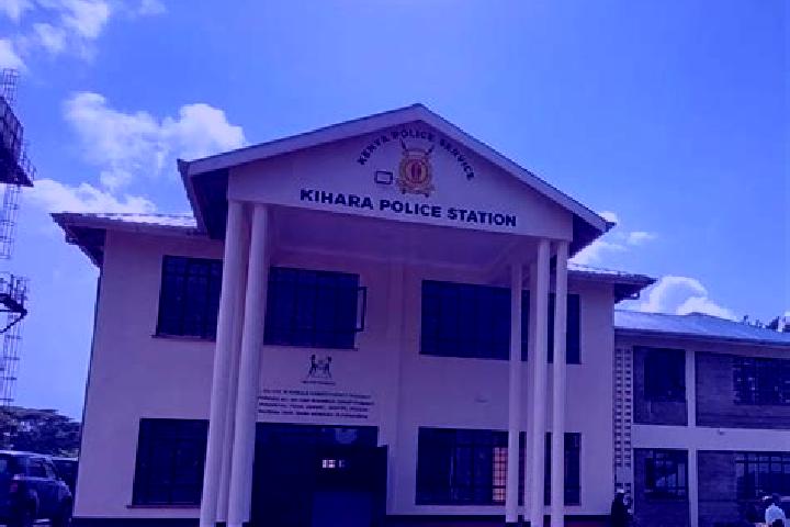 Escorts Mwingi, Kenya — Local Companions