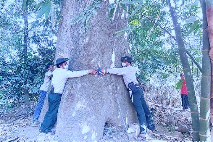 Escorts Myanaung, Myanmar — Local Companions