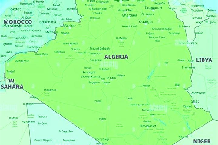 Escorts Naciria, Algeria — Local Companions