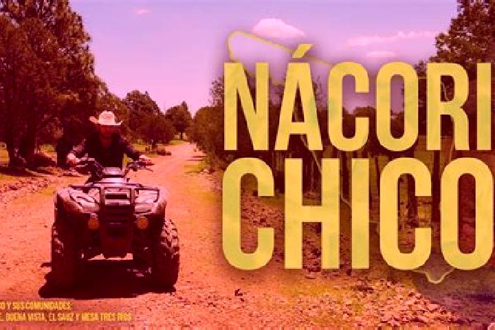 Escorts Nacori Chico, Mexico — Local Companions