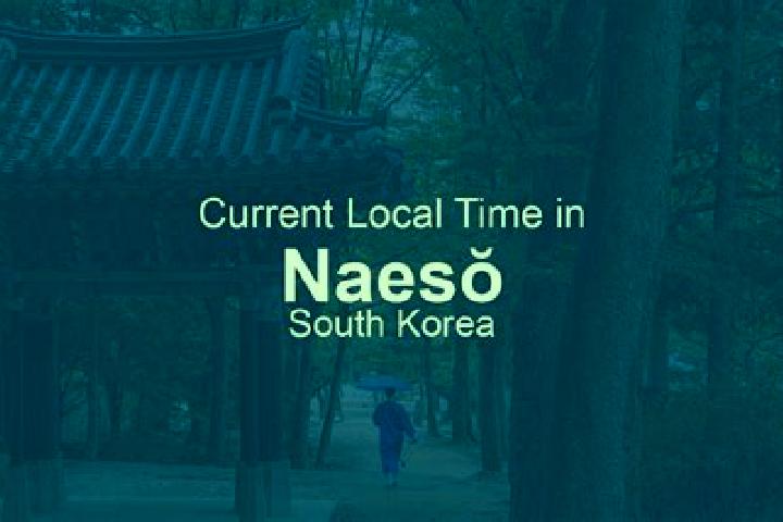 Escorts Naeso, South Korea — Local Companions