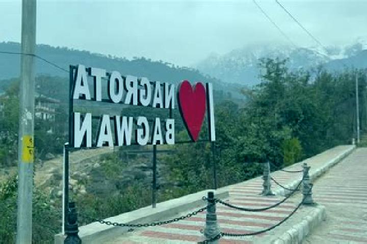 Escorts Nagrota Bagwan, India — Local Companions