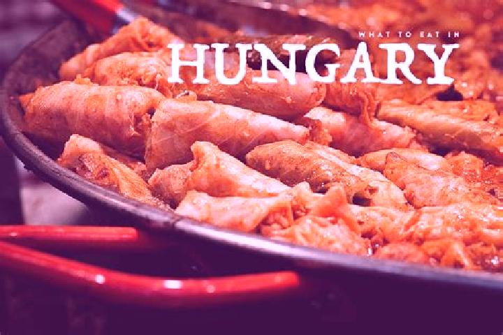 Escorts Nagymanyok, Hungary — Local Companions