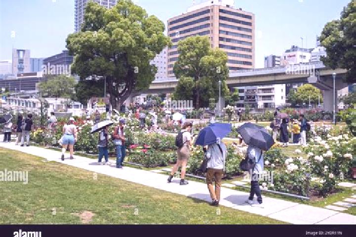 Escorts Nakanoshima, Japan — Local Companions