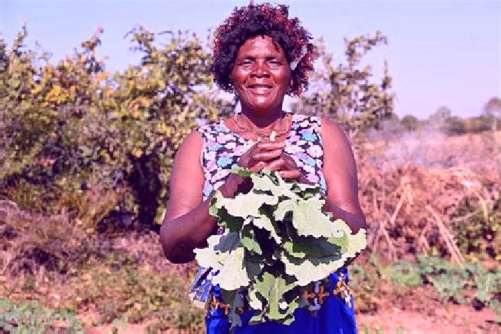 Escorts Namwala, Zambia — Local Companions