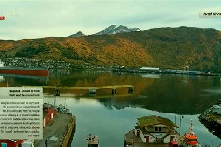 Escorts Narvik, Norway — Local Companions