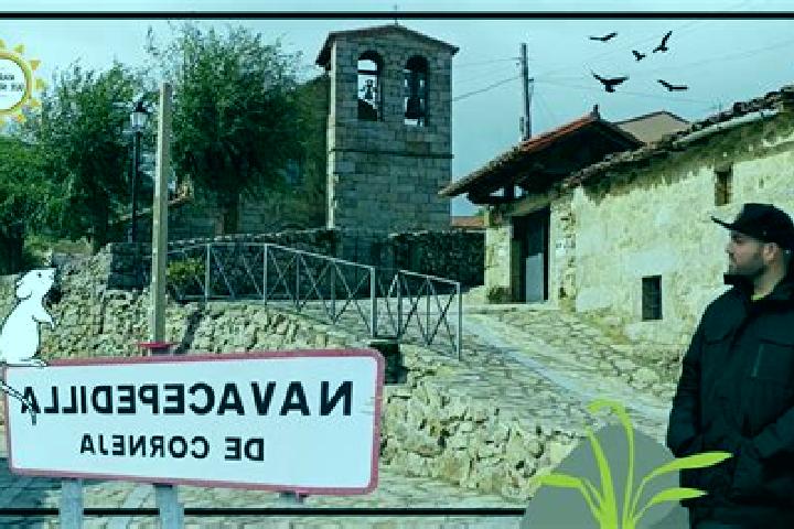 Escorts Navacepedilla de Corneja, Spain — Local Companions
