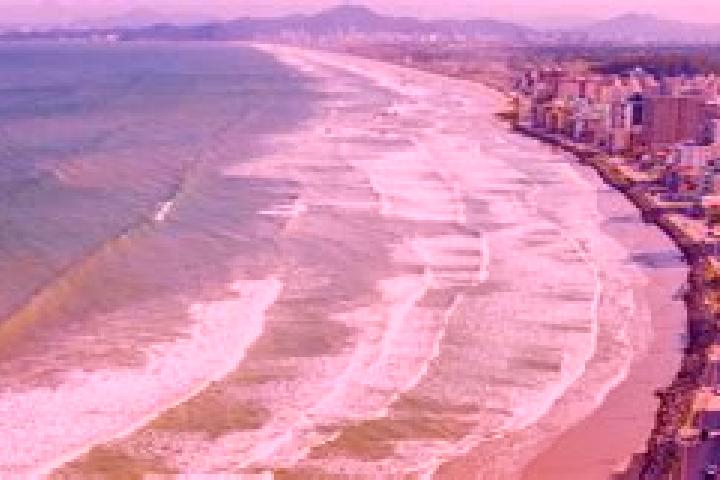 Escorts Navegantes, Brazil — Local Companions