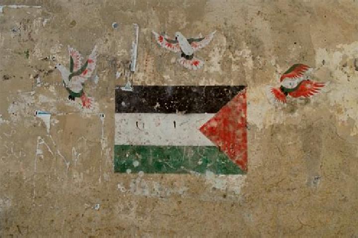 Escorts Nazlat ash Shaykh Zayd, Palestine — Local Companions
