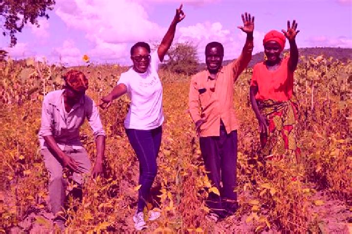 Escorts Nchelenge, Zambia — Local Companions