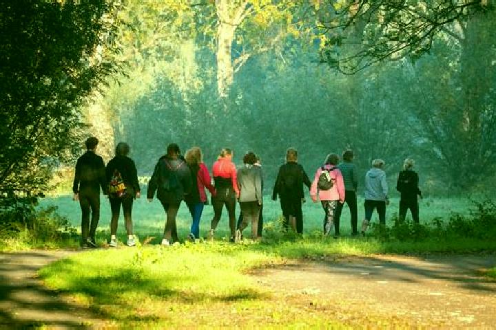 Escorts Neede, Netherlands — Local Companions