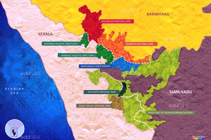 Escorts Neelagiri, India — Local Companions