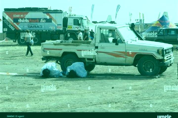Escorts Nema, Mauritania — Local Companions