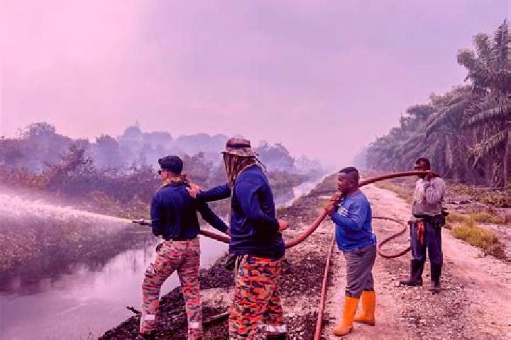 Escorts Nenasi, Malaysia — Local Companions
