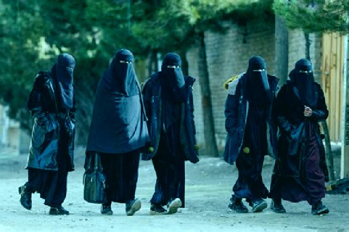 Escorts Neqab, Iran — Local Companions