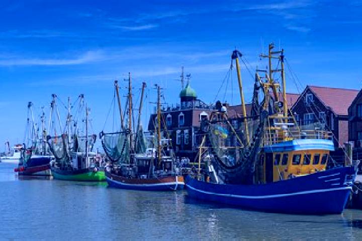 Escorts Neuharlingersiel, Germany — Local Companions