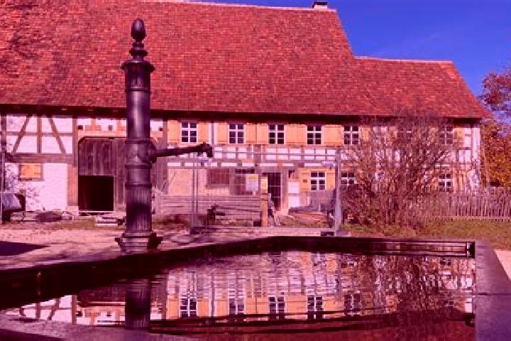 Escorts Neuhausen ob Eck, Germany — Local Companions