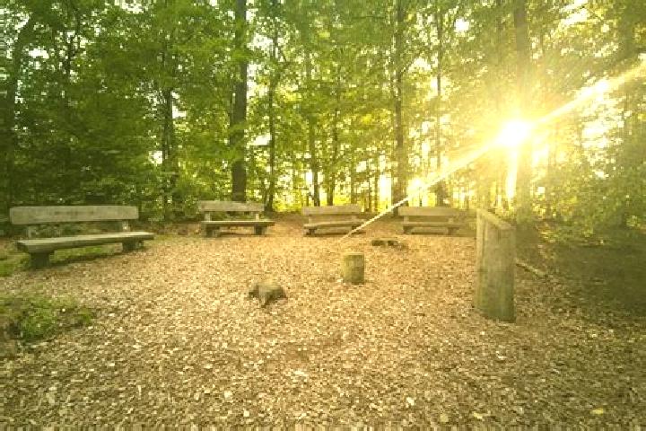 Escorts Neunburg vorm Wald, Germany — Local Companions