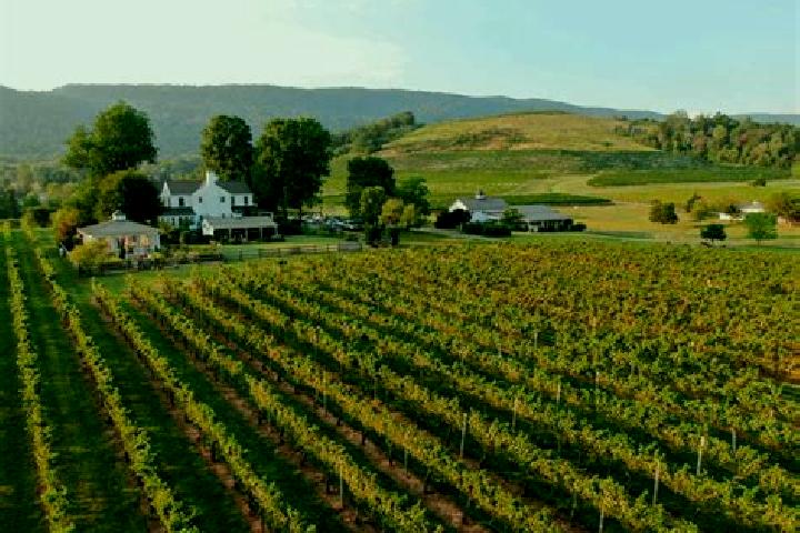 Escorts New Vineyard, United States — Local Companions