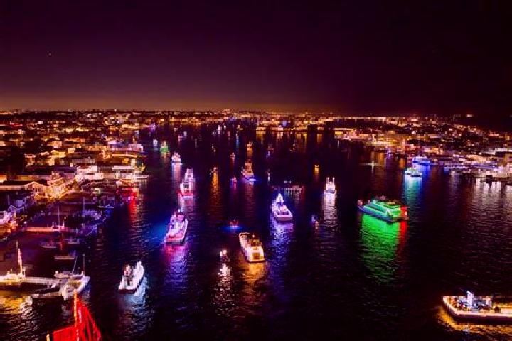 Escorts Newport, Australia — Local Companions