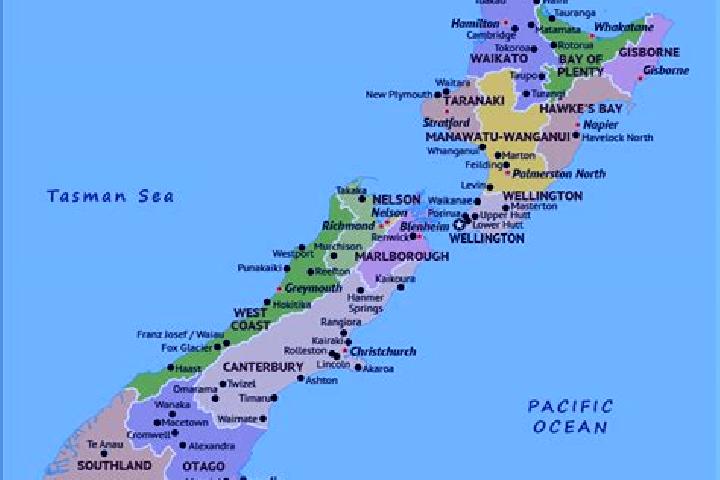 Escorts Newton, New Zealand — Local Companions