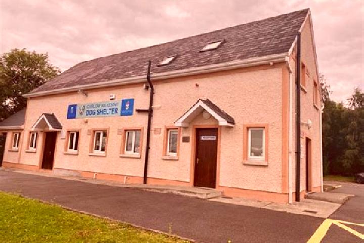 Escorts Newtownmountkennedy, Ireland — Local Companions