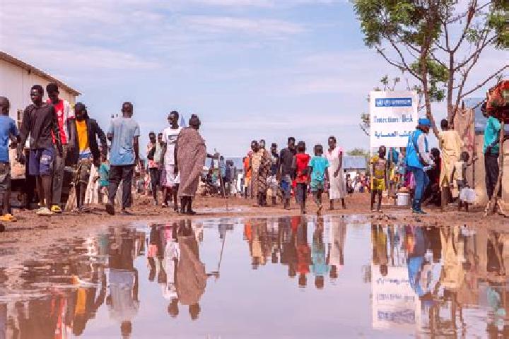 Escorts Ngo, Congo — Local Companions